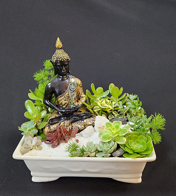 Arreglo de suculentas naturales variadas en macetero Bonsai cerámico y figura de Buda Sidarta de resina. Las variedades de suculentas podrían variar dependiendo de stock y temporada. Disponible solo para envíos dentro de Santiago, comunas cercanas y periféricas de la Región Metropolitana